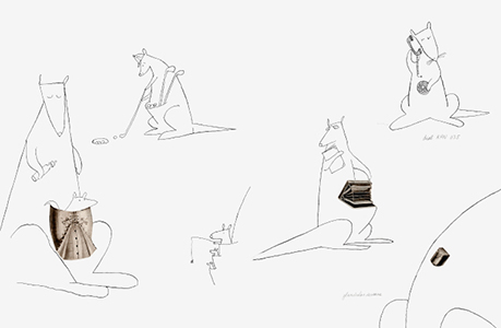 Elephants, Whales & Kangaroos (coffret 3 livres)